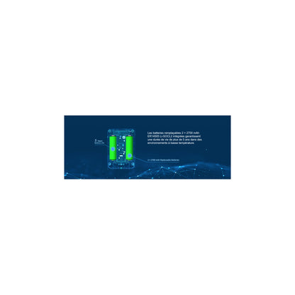 MILESIGHT - Sensor de temperatura y humedad LoRaWan + escudo antirradiación